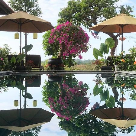 The Quin Riverside Villa Hoi An Eksteriør bilde